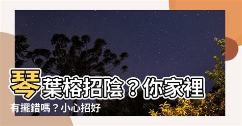 七里香招陰嗎|【七里香招陰嗎】招好運還是招陰氣？解密家中「七里香」的風水。